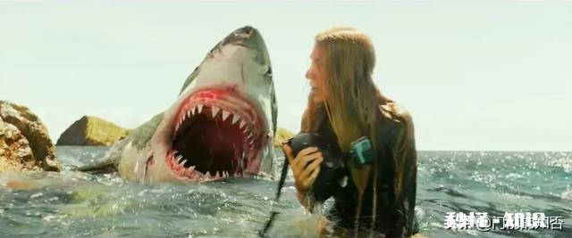 看过哪些以动物为主题的恐怖惊悚片