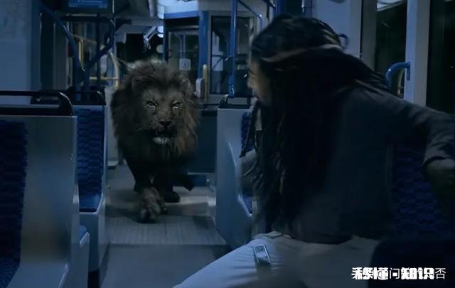 看过哪些以动物为主题的恐怖惊悚片