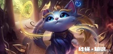 英雄联盟现版本,猫咪怎么玩