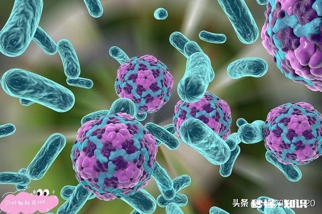 如果新型冠状病毒会与人对话，你会对它说些什么