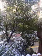 如何评价自己的前一段感情