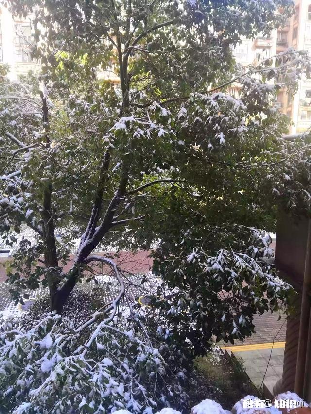 如何评价自己的前一段感情