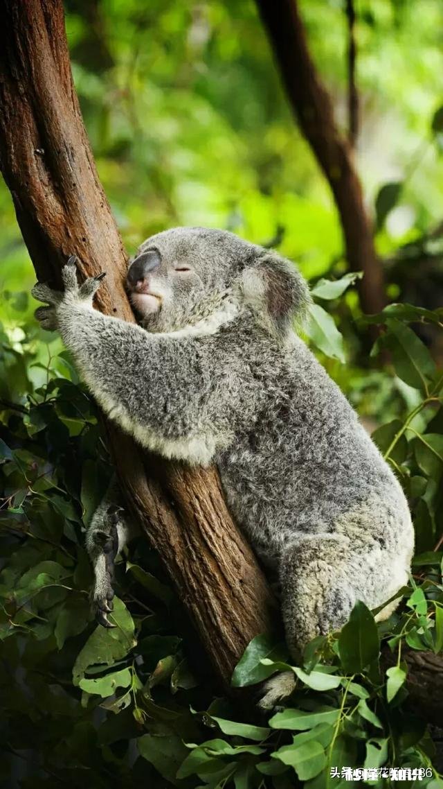 还有哪些人记得童年烈日当空来一支老冰棍的那种味道