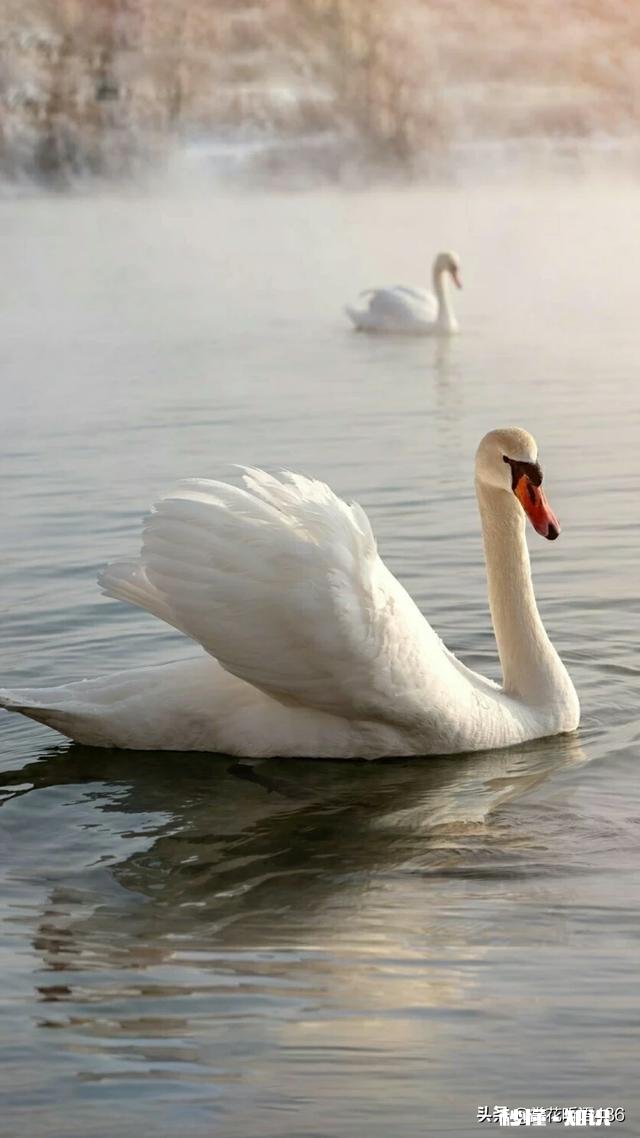 还有哪些人记得童年烈日当空来一支老冰棍的那种味道