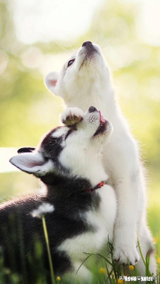 还有哪些人记得童年烈日当空来一支老冰棍的那种味道