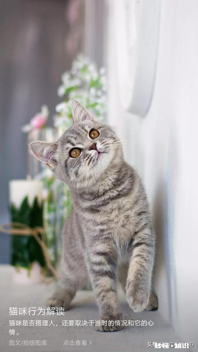 还有哪些人记得童年烈日当空来一支老冰棍的那种味道