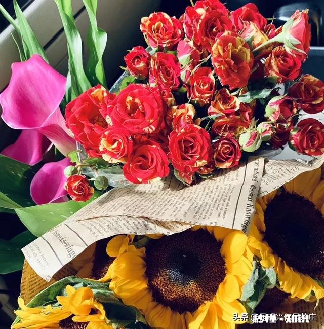 还有哪些人记得童年烈日当空来一支老冰棍的那种味道