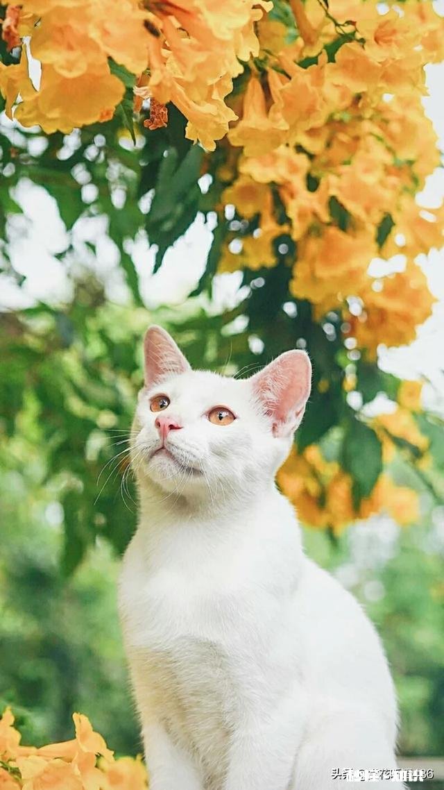 还有哪些人记得童年烈日当空来一支老冰棍的那种味道