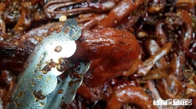 有十万块,怎样在三四线城市创业