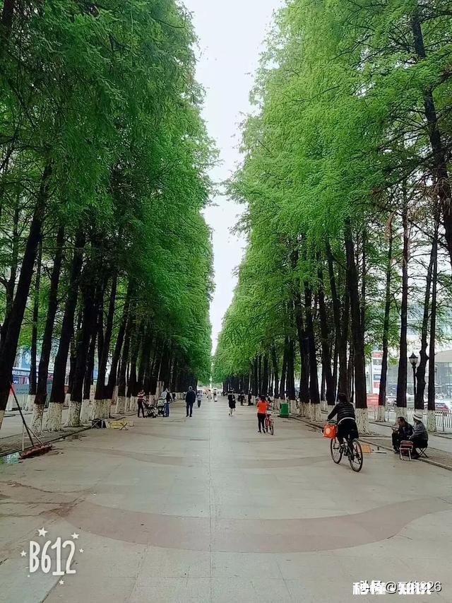 改变面部肌肤粗糙的方法有哪些