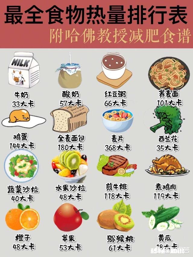 减肥该如何饮食有健康科学的每周食谱吗