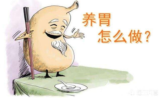 胃寒的人该怎么调理