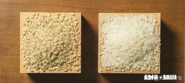 关于吃杂粮养生有何见解