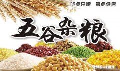 关于吃杂粮养生有何见解