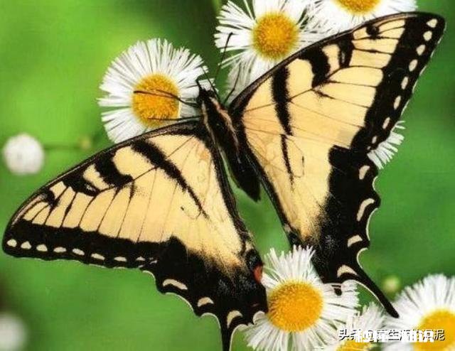 最近频频发生夫妻失踪和被害如何良性维系夫妻关系