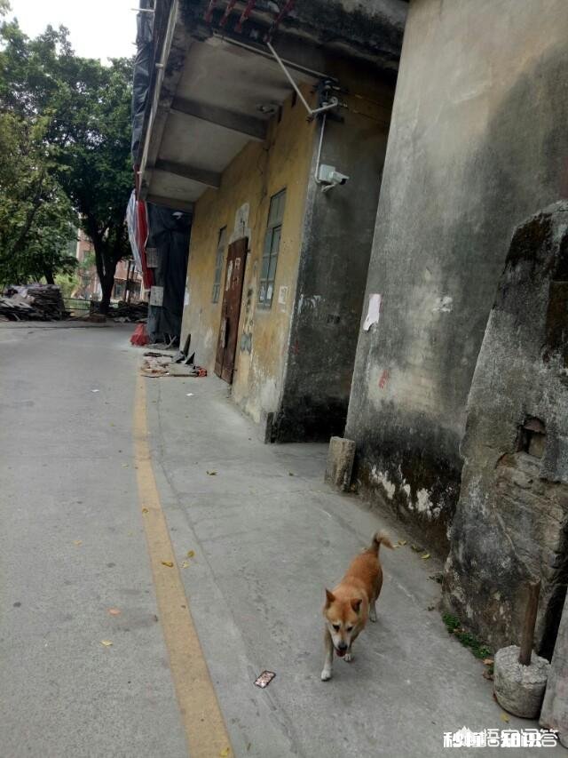 上联:富在深山有人问,如何对下联