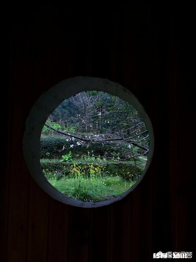 什么叫无极而生极与《老子》的“同出而异名”有什么关系