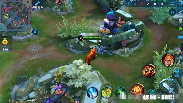 张大仙巅峰赛拿下15杀，只因用裴擒虎创“赤虎流”，游戏打法如何