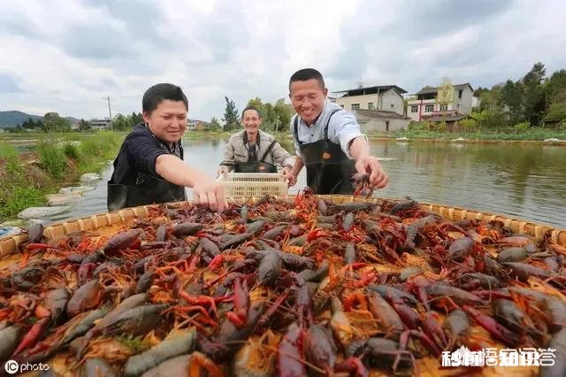 大棚房整治，有跟我一样是农民回乡创业，被一次性整得倾家荡产，负债累累的吗