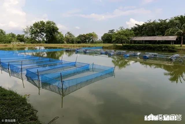 大棚房整治，有跟我一样是农民回乡创业，被一次性整得倾家荡产，负债累累的吗