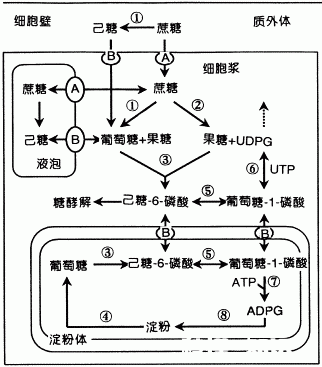 什么病要多吃糖