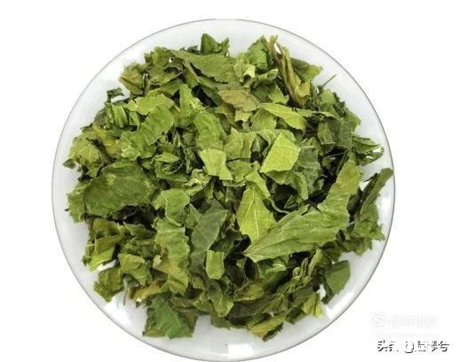 桑叶茶是怎样制作的