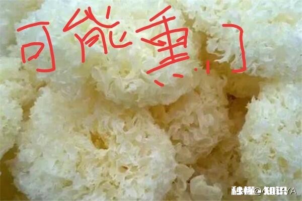 新鲜银耳会用硫磺熏吗