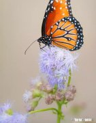 现在是高一，很想努力，但不知道如何开始怎么办