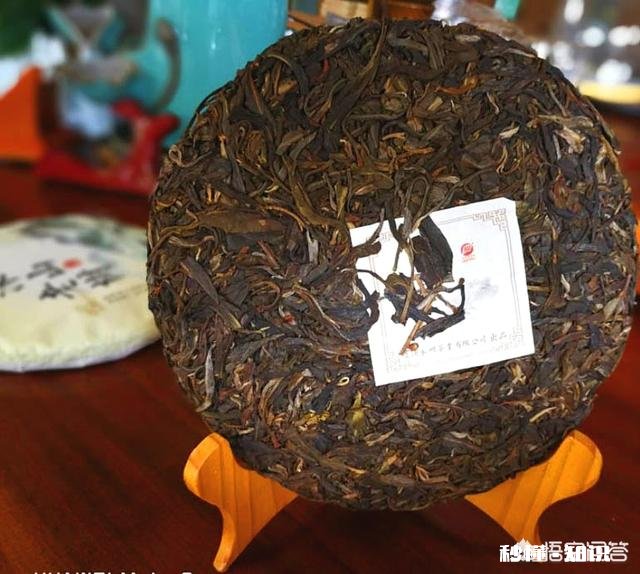 选择普洱茶标准是什么