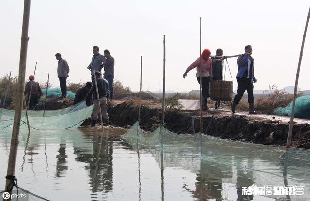 池塘养殖在多雨台风季节，水塘会否会被淹需要做什么防范