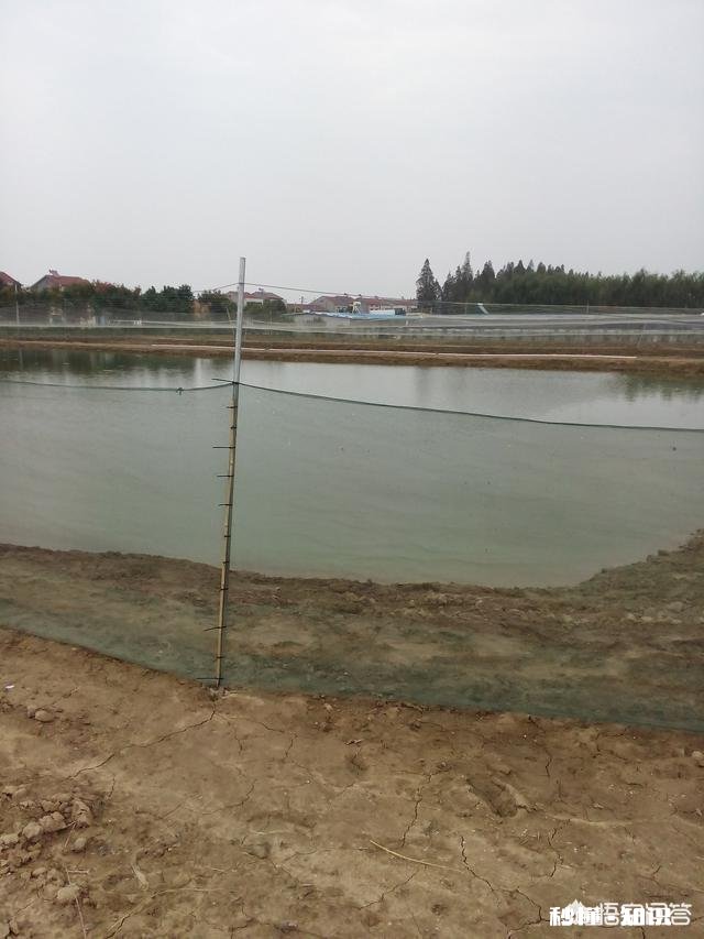 池塘养殖在多雨台风季节，水塘会否会被淹需要做什么防范