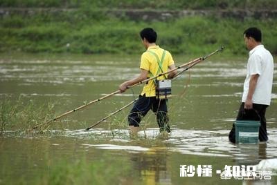 气温回暖，在农村又有偷偷出来电鱼的人，对此你怎么看