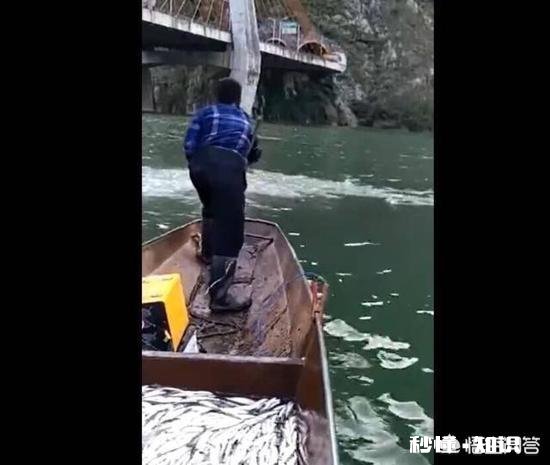 气温回暖，在农村又有偷偷出来电鱼的人，对此你怎么看