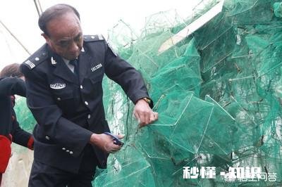 气温回暖，在农村又有偷偷出来电鱼的人，对此你怎么看