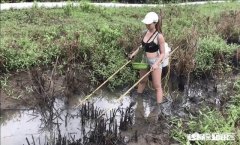 气温回暖，在农村又有偷偷出来电鱼的人，对此你怎么看