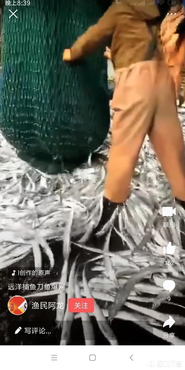 气温回暖，在农村又有偷偷出来电鱼的人，对此你怎么看