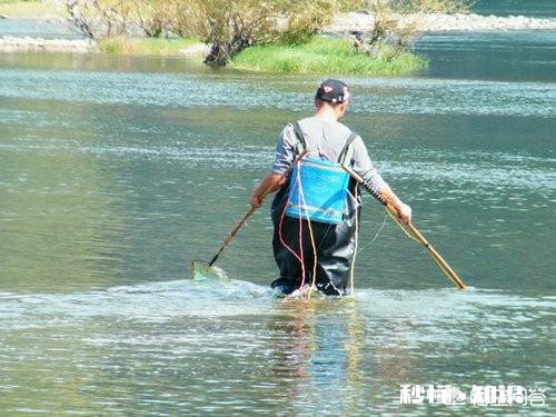 气温回暖，在农村又有偷偷出来电鱼的人，对此你怎么看