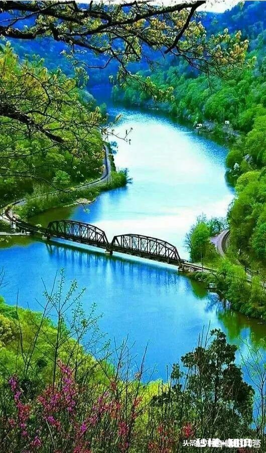 气温回暖，在农村又有偷偷出来电鱼的人，对此你怎么看