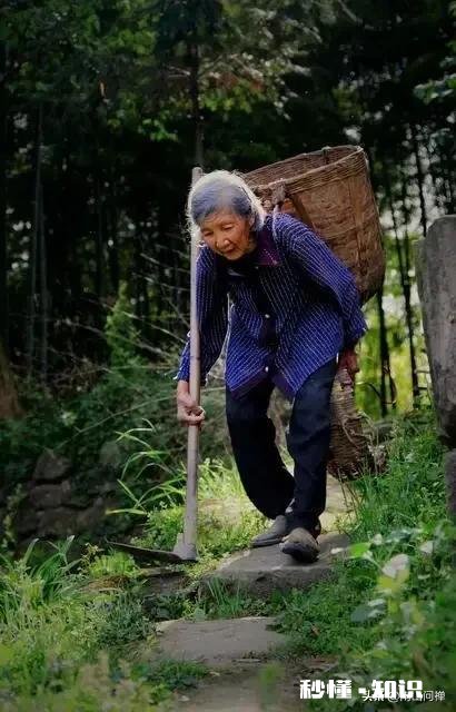 如果再来一次你还会碰爱情这个东西吗