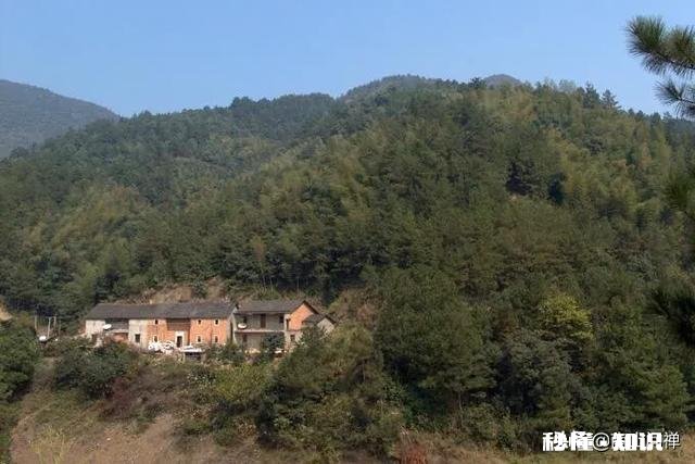 如果再来一次你还会碰爱情这个东西吗