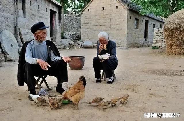 如果再来一次你还会碰爱情这个东西吗