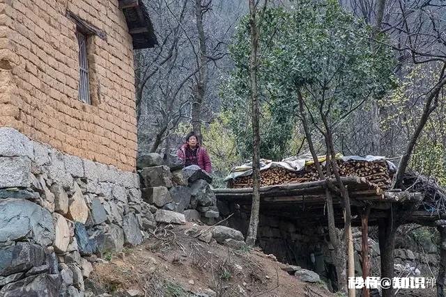 如果再来一次你还会碰爱情这个东西吗