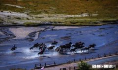 作为单反备用机，推荐哪一款比较好用