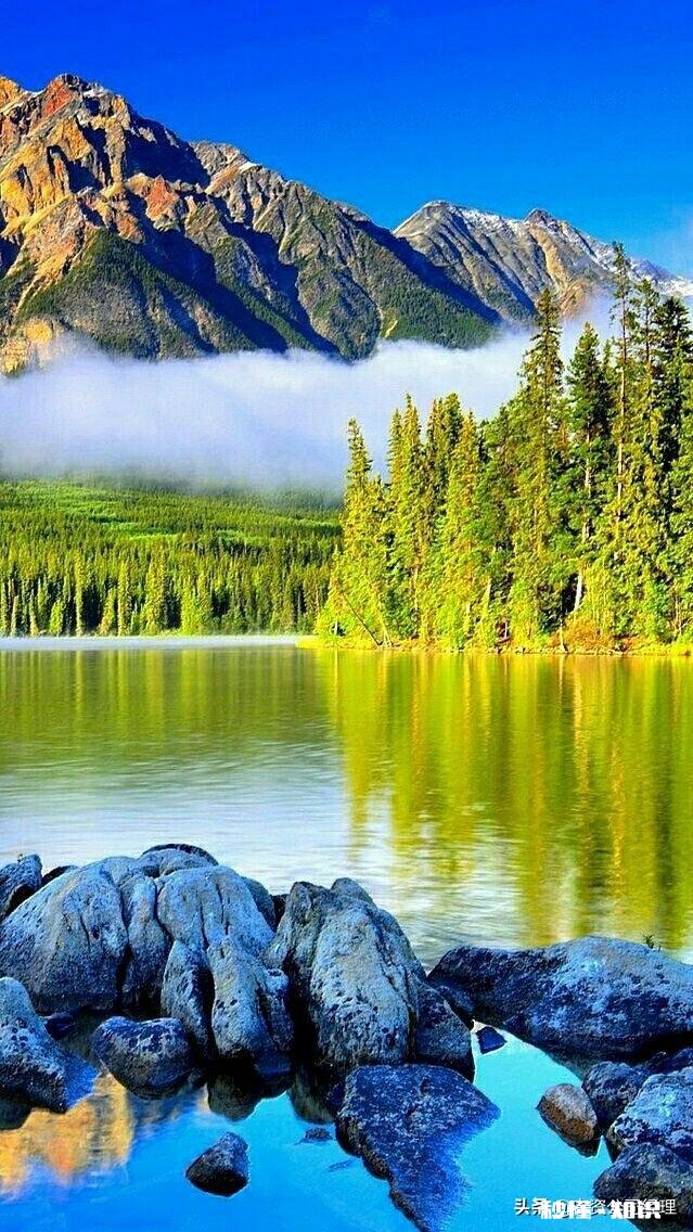 用一百字写清楚你最想要的生活，你会怎么写