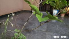 云南高速和低速哪个海拔高你怎么看