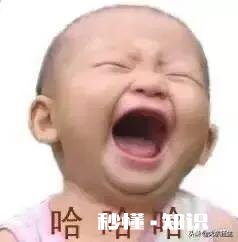 独居老年人有什么玩具可玩，或者哪些娱乐器材可以解闷