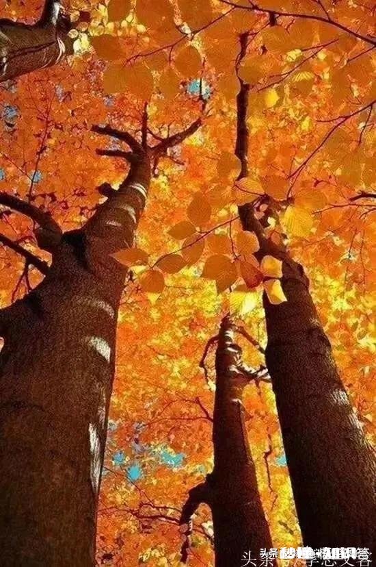 什么叫成功人士