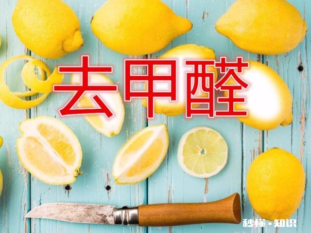 怎么样除醛比较靠谱