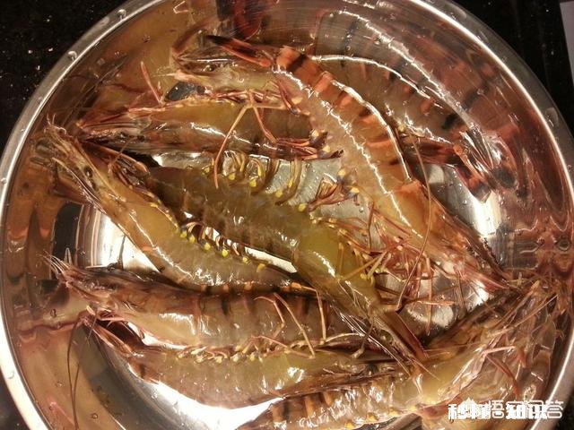 肾功不全的病人能吃海参及海产品吗