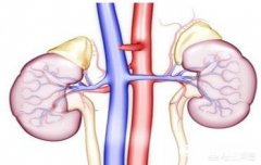 肾功不全的病人能吃海参及海产品吗